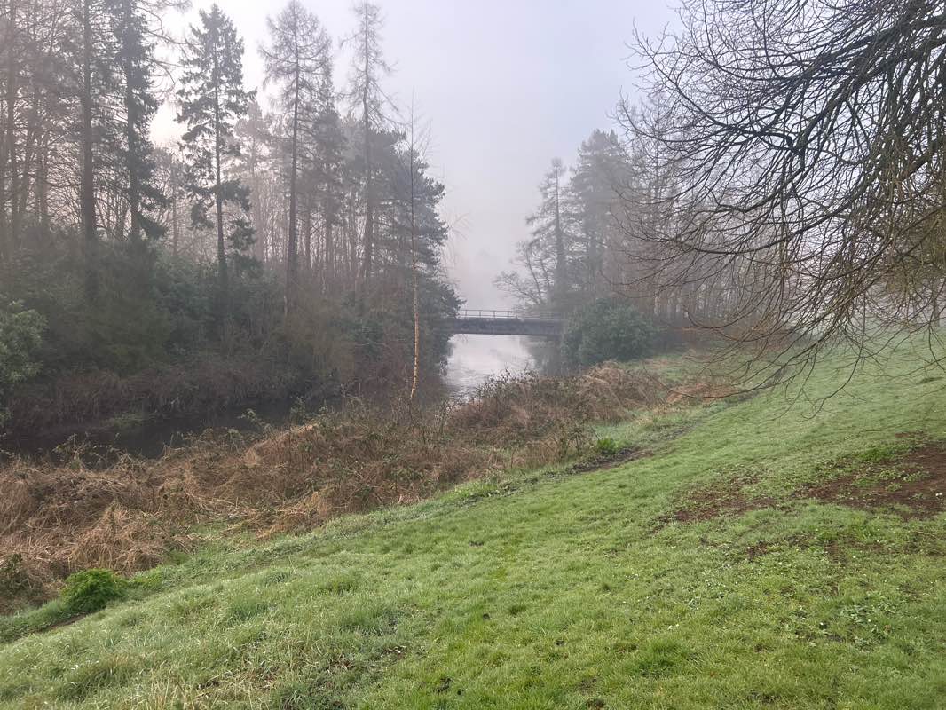 walking near me in Barnett Demesne in spring