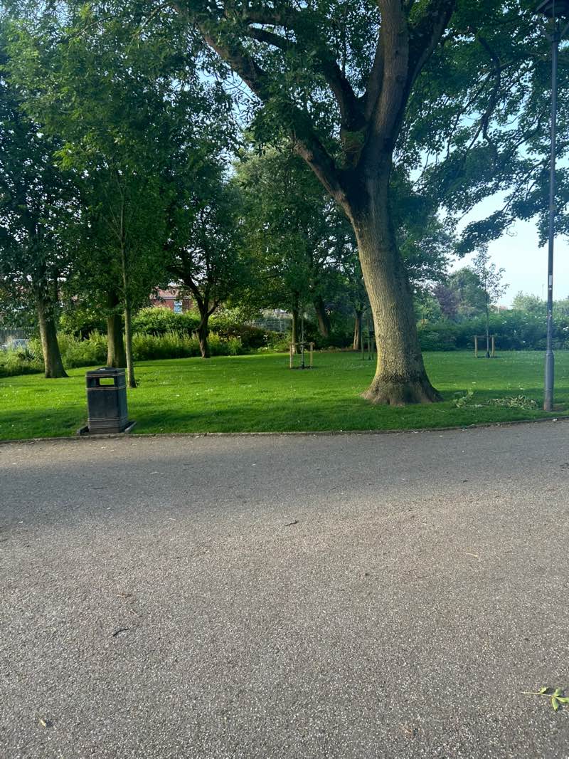 walking near me in Memorial Park in summer