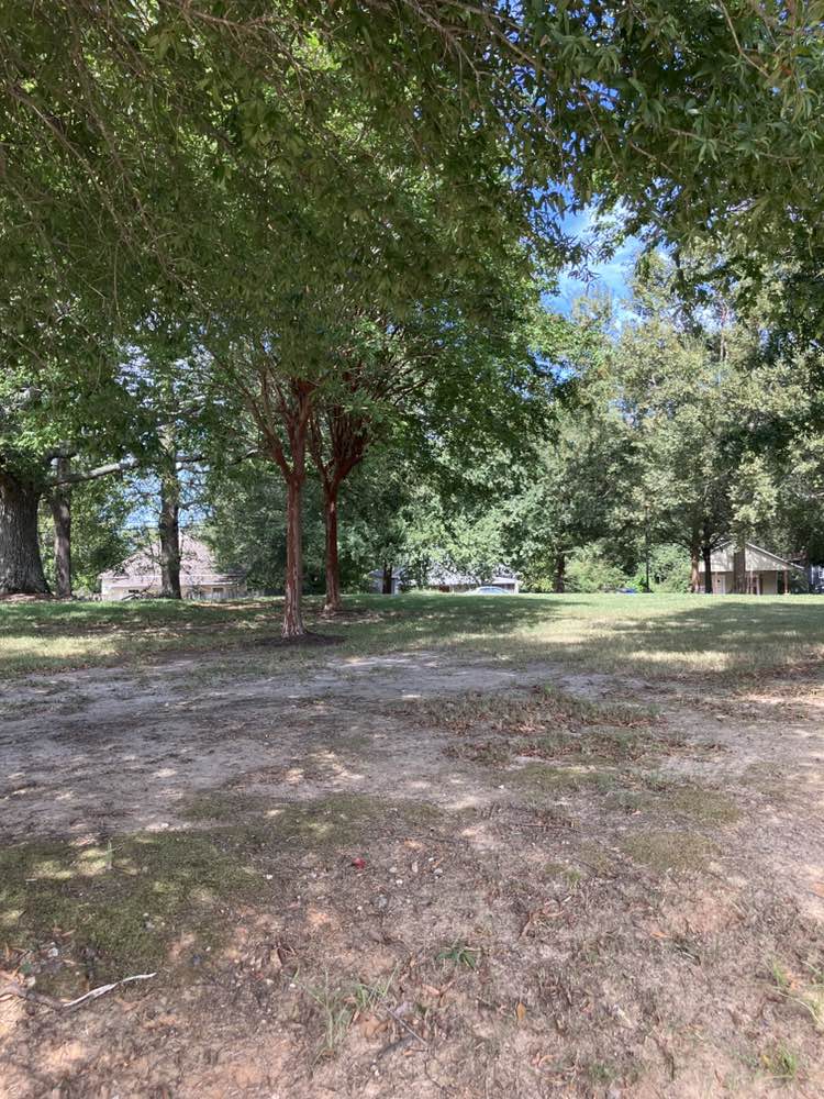 walking near me in Wortham Park in autumn