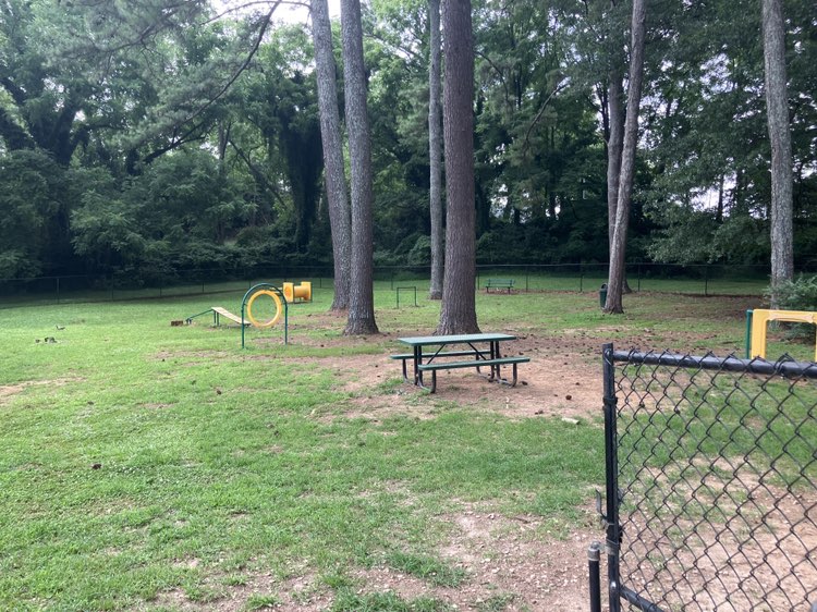 walking near me in Longview Park in summer