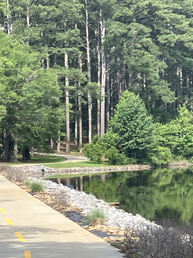 walking near me in Southwire Park in summer