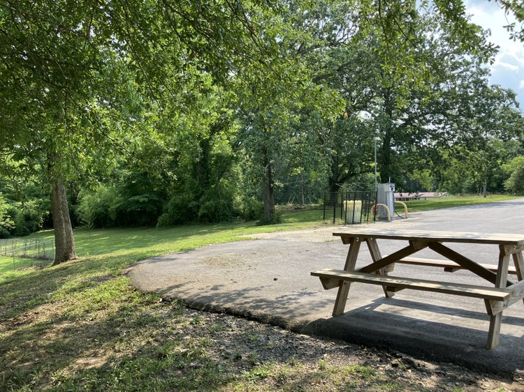 walking near me in Ashmore Park in summer