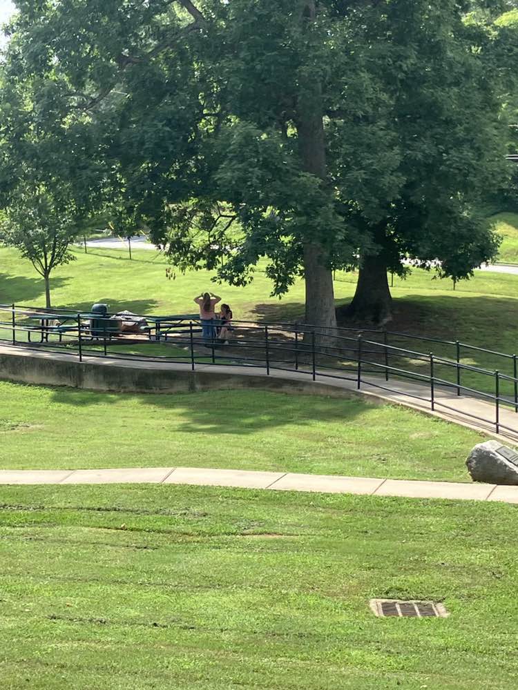 walking near me in safari park in summer