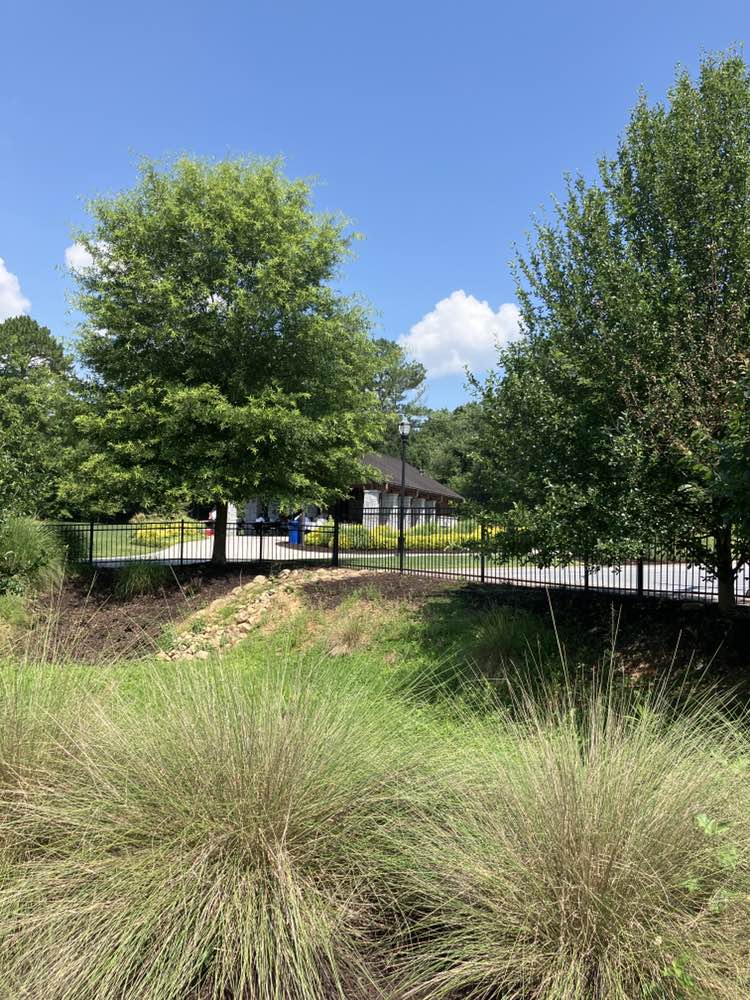 walking near me in Pernoshal Park in summer