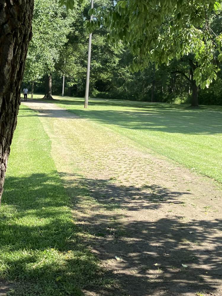 walking near me in Knox Park in summer