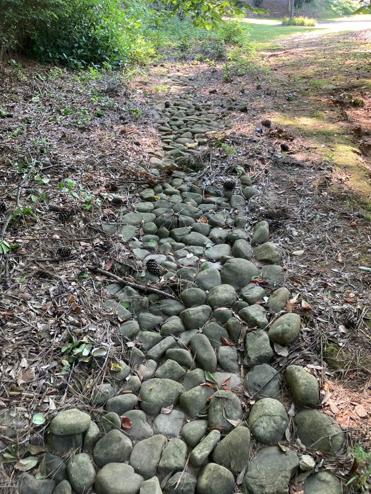 walking near me in Banker's Park in summer