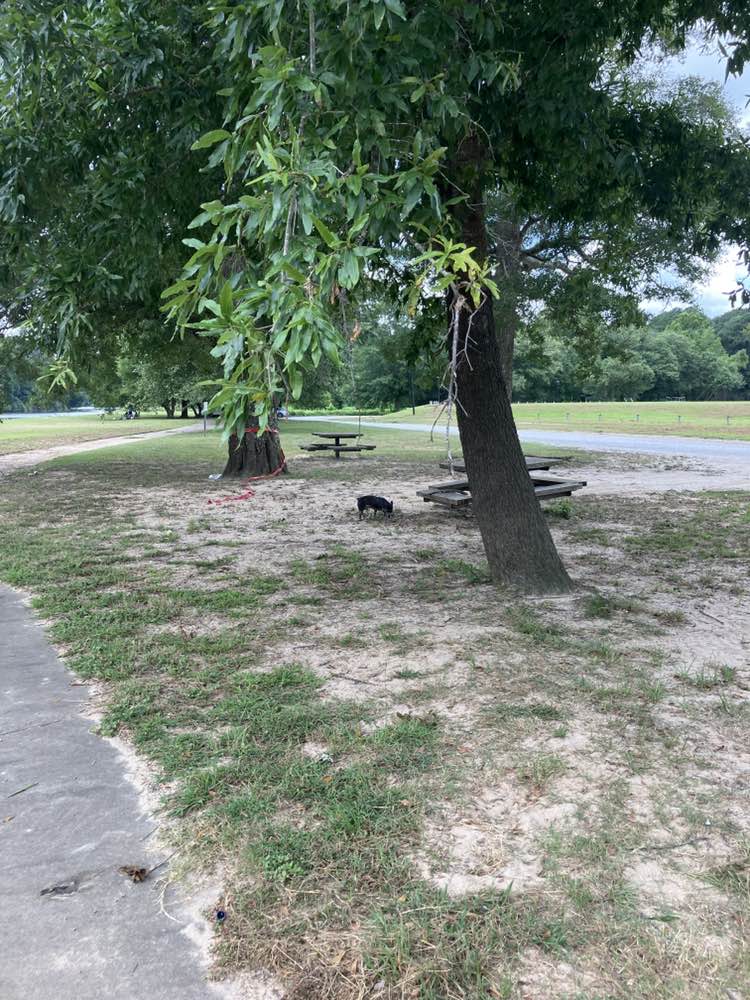 walking near me in Old Heard County Recreation Department in autumn