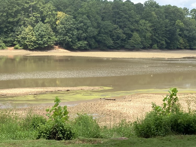 walking near me in Murphey Candler Park in autumn