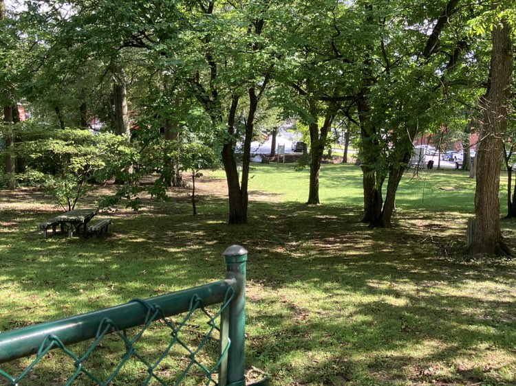 walking near me in Carrollton Presbyterian Park in summer