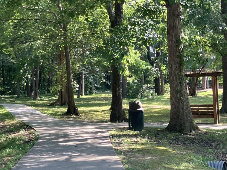 walking near me in Gold Dust Park in summer