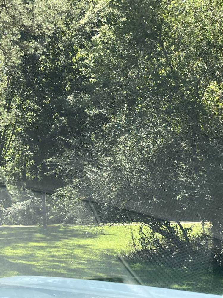 walking near me in Hays Mill Park in autumn