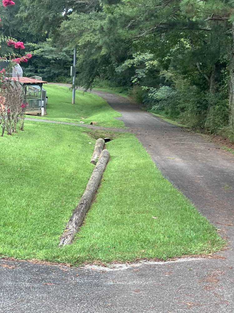 walking near me in Union Park in autumn