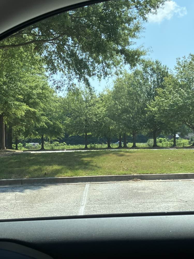walking near me in East Carrollton City Park in autumn
