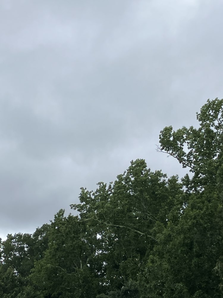 walking near me in Winston Park in autumn