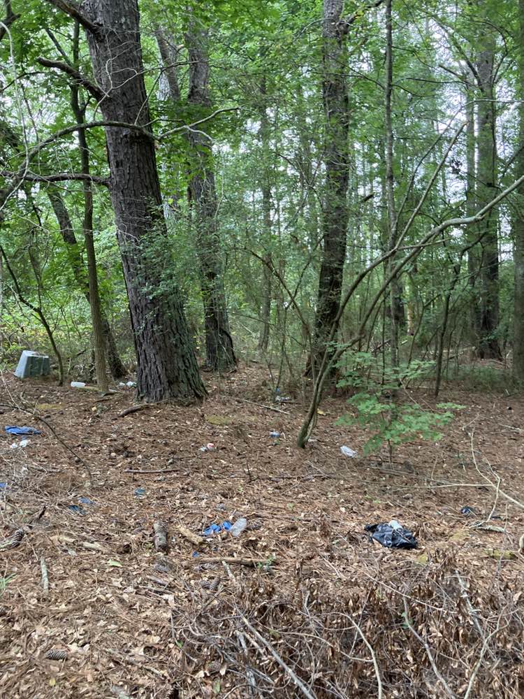 walking near me in Richards Park in autumn