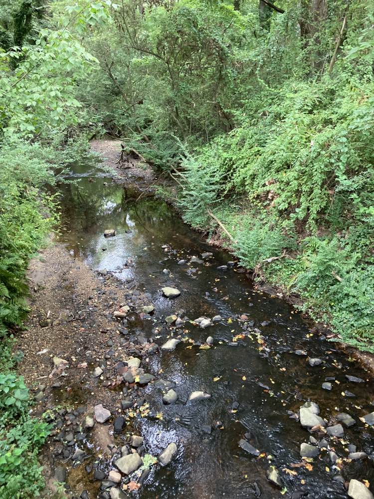 walking near me in Huntley Hills Park in autumn