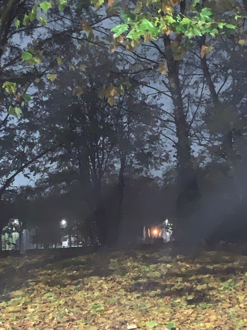 walking near me in Heath Town Park in autumn