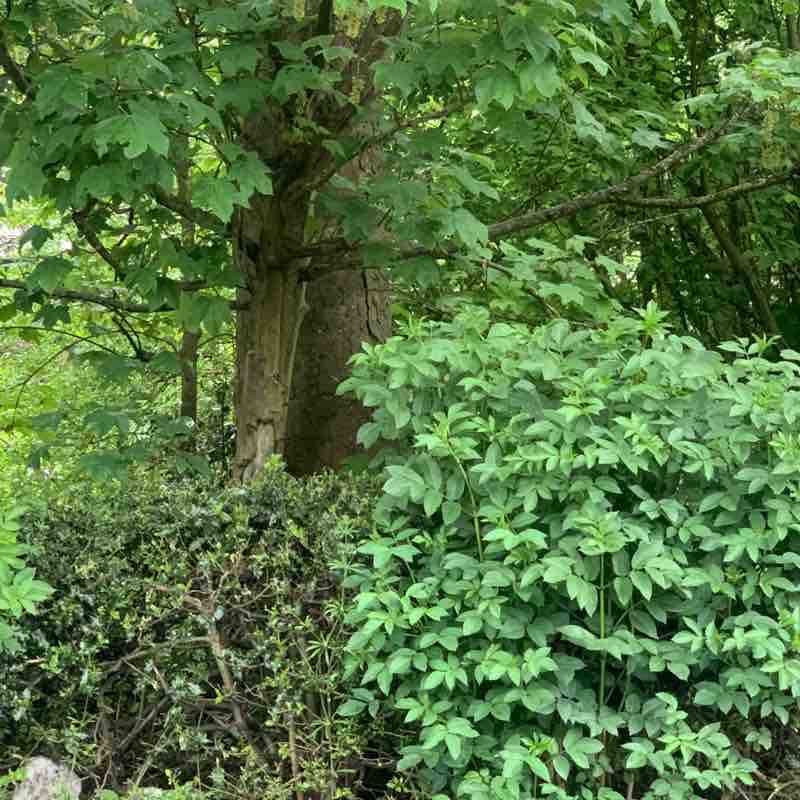 Akinola post 1