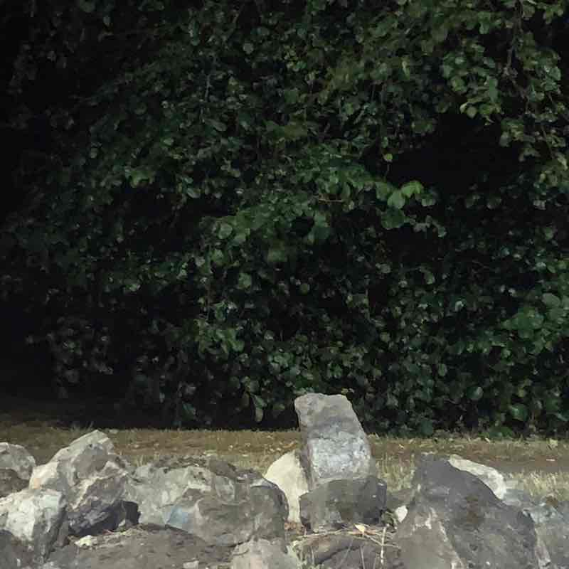 Akinola post 1
