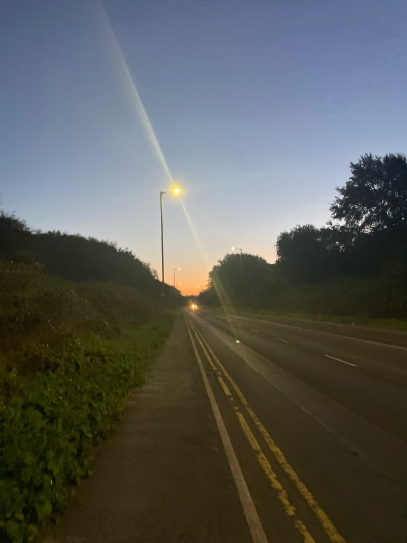 walking near me in Bedford Park in autumn
