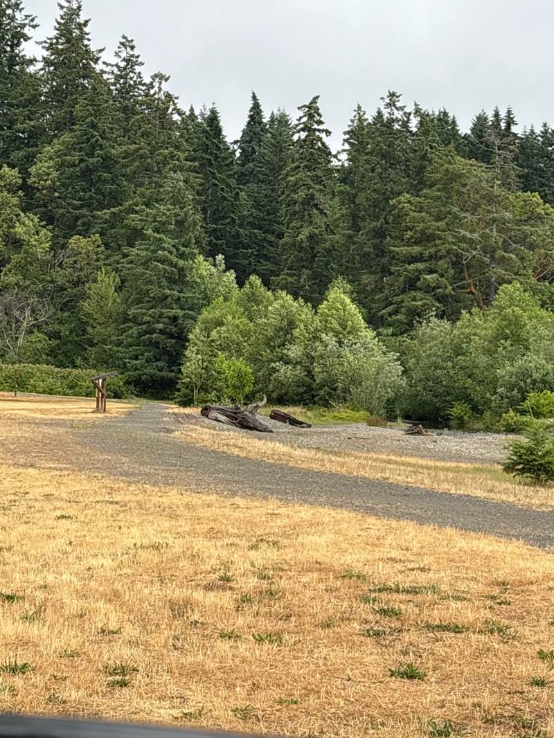 walking near me in Belfair State Park in summer