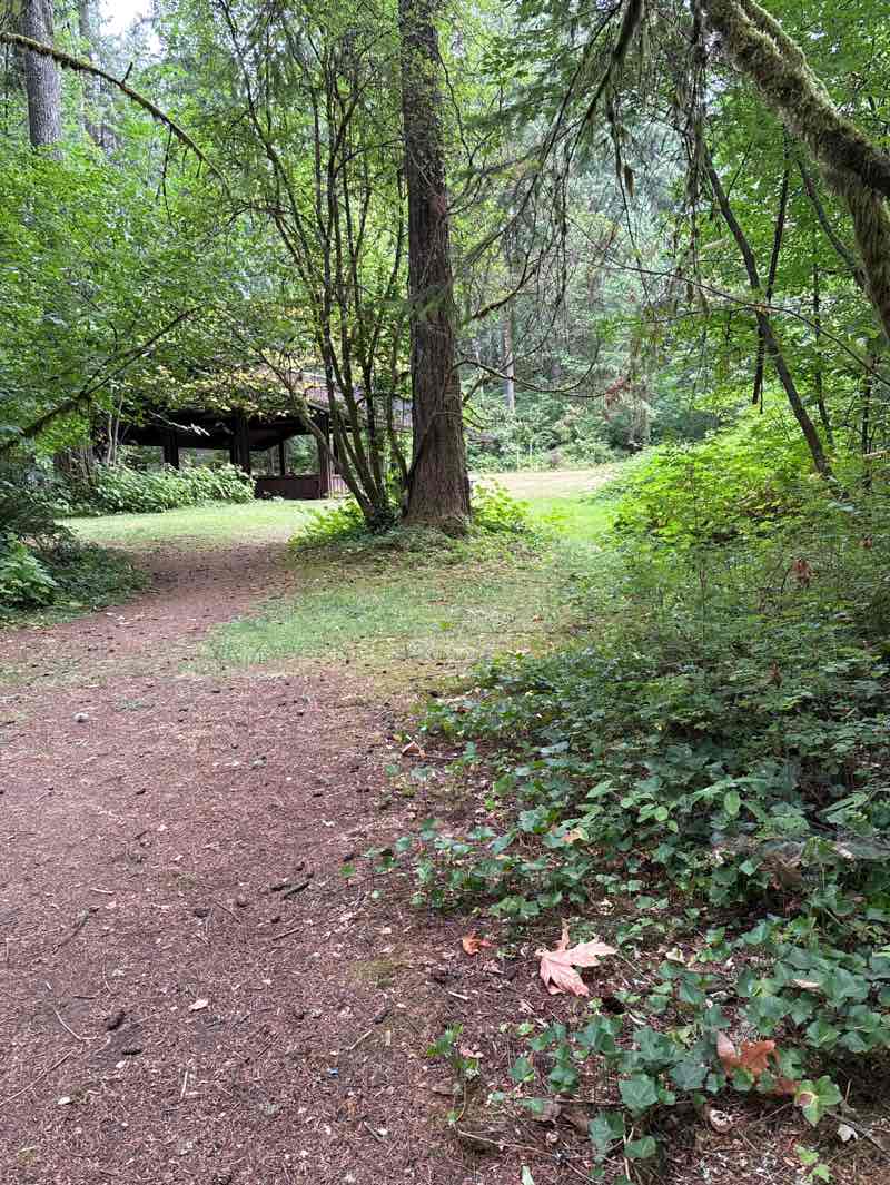 walking near me in Battle Ground Lake State Park in autumn