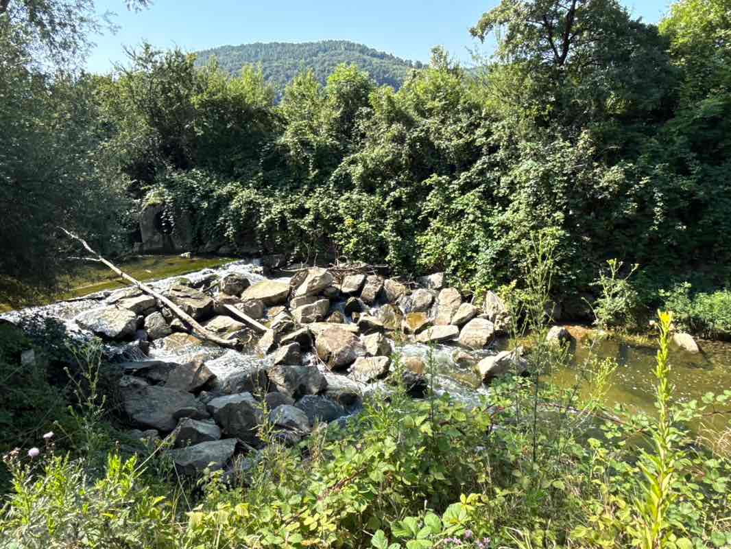 walking near me in Ebenrainpark in autumn