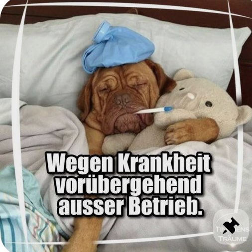 Starseed🇨🇭🌿 post 1