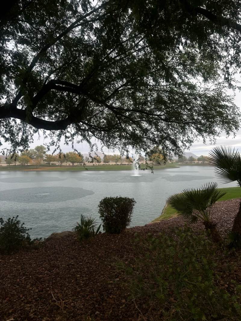 walking near me in Villago Park in winter