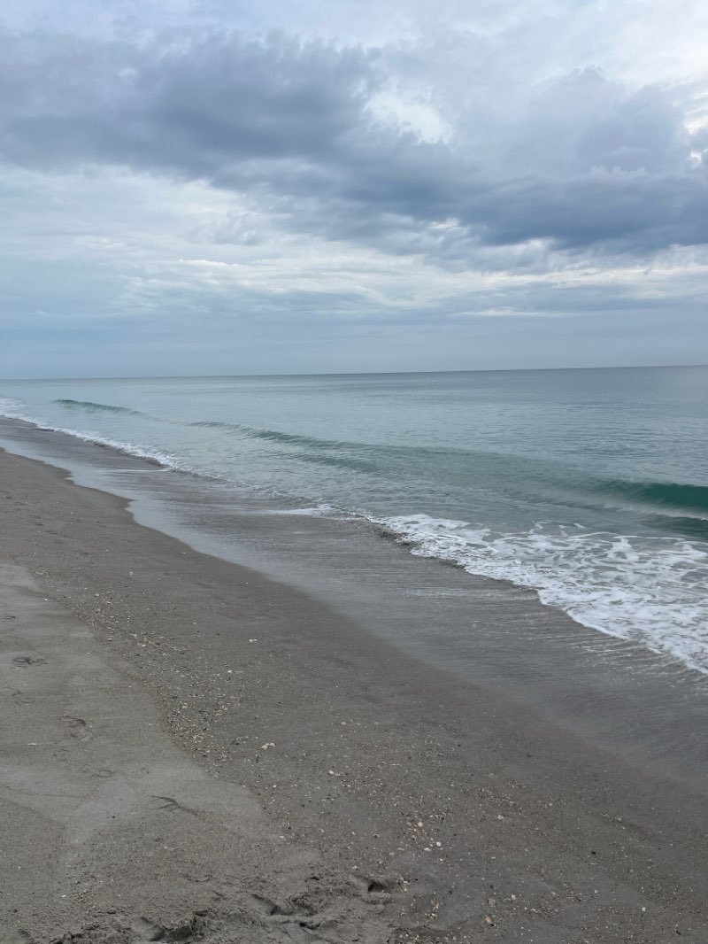 walking near me in Flutie Conservation Area in summer