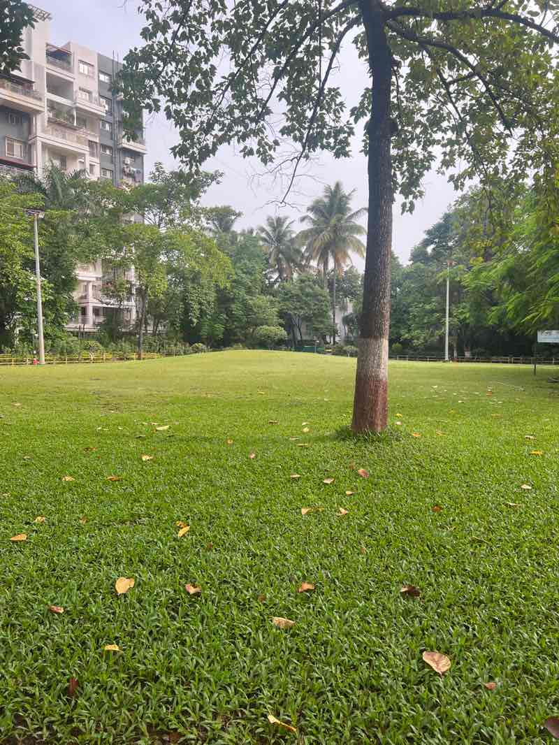 walking near me in Major Tathawade Udyan in autumn