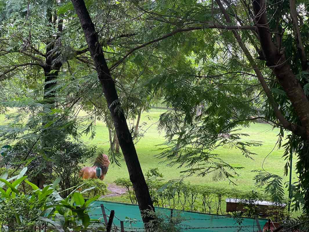 walking near me in Pandit Bhimsen Joshi Udyan in autumn