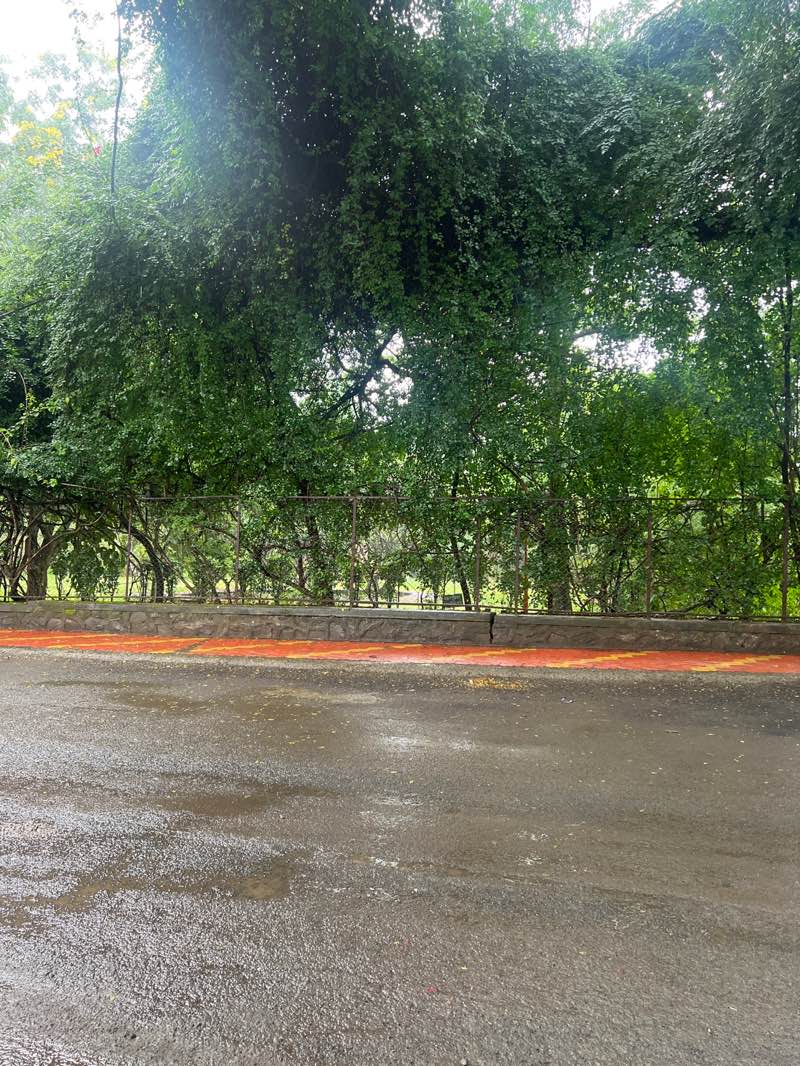 walking near me in Mahavir Garden (Baapat Mala) in autumn