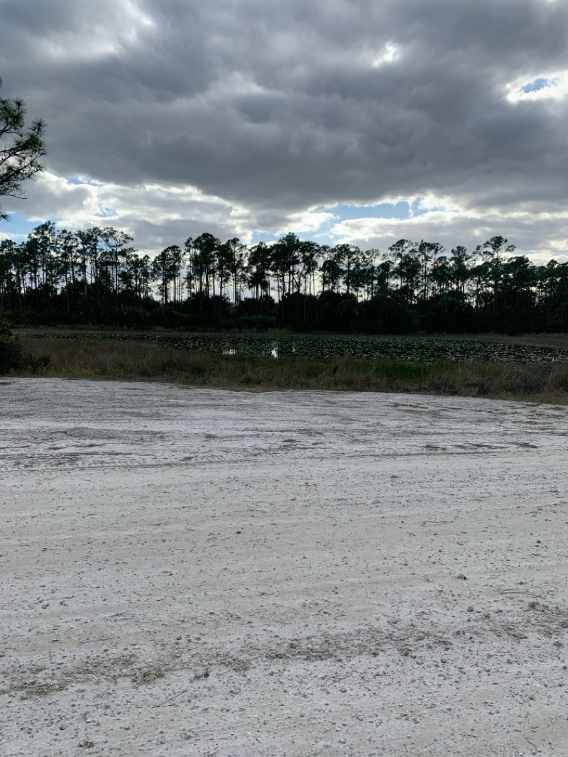 walking near me in JW Corbett Wildlife Management Area in winter