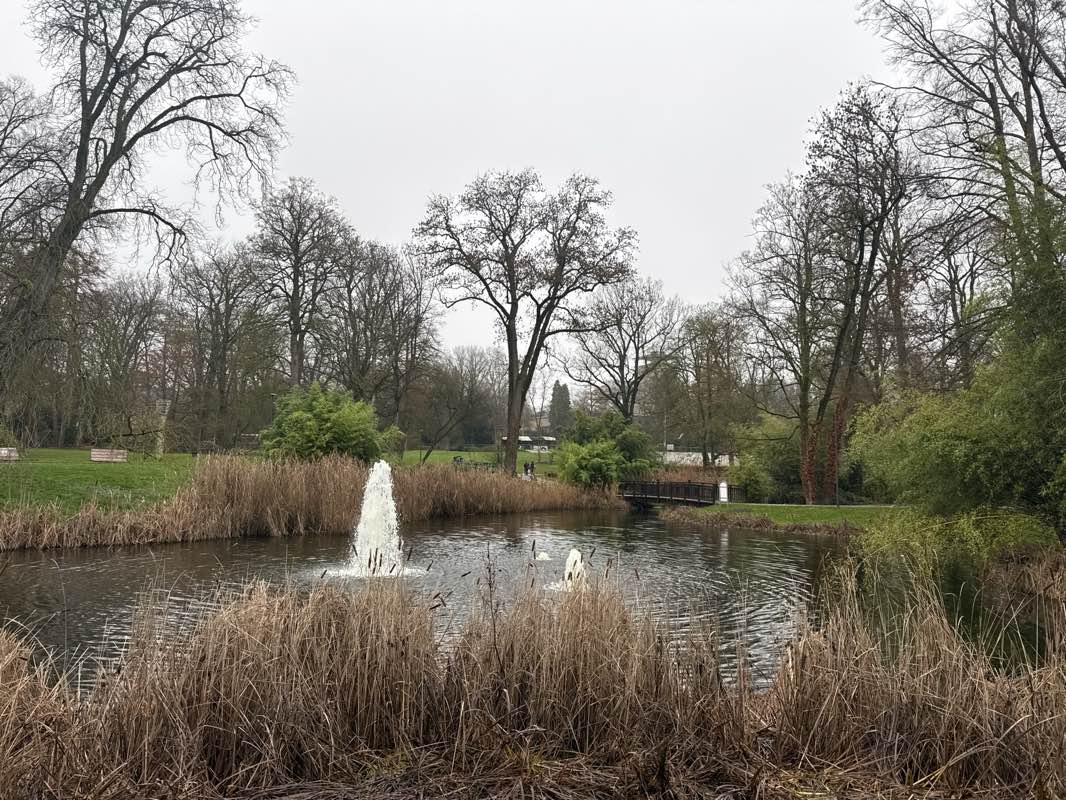 walking near me in Odendahl in winter