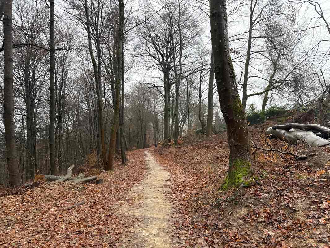 walking near me in Hesperpark in winter