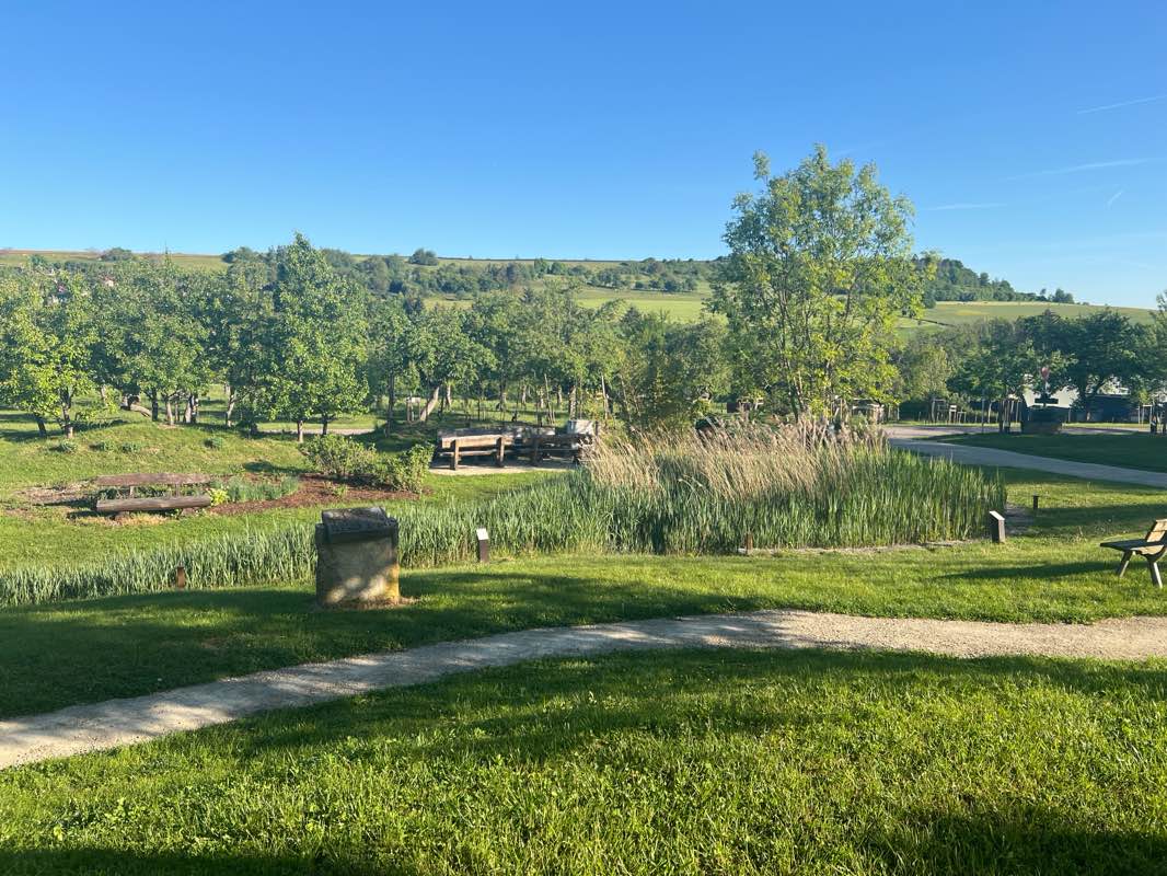 walking near me in Caspary-Park in spring