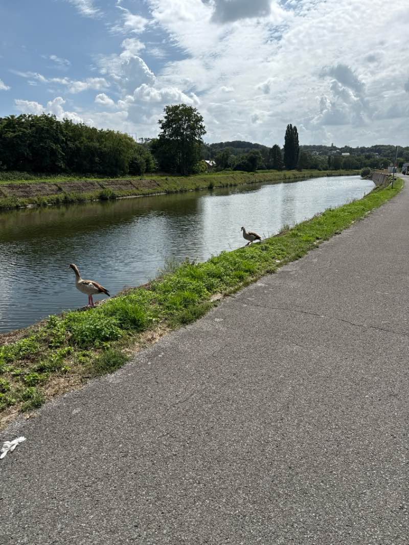 walking near me in Parc des Glaces in autumn
