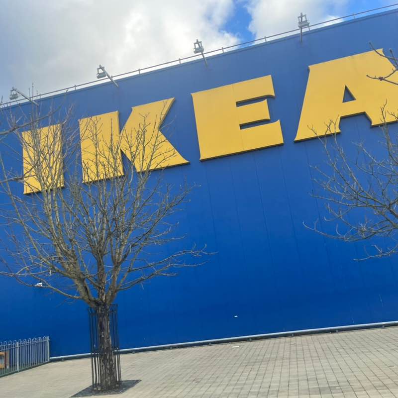 BTNI Sarah post image