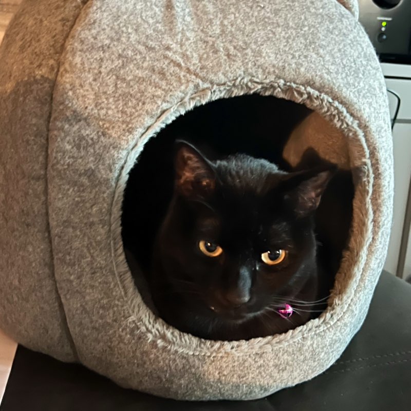 StarPrincess426 profile