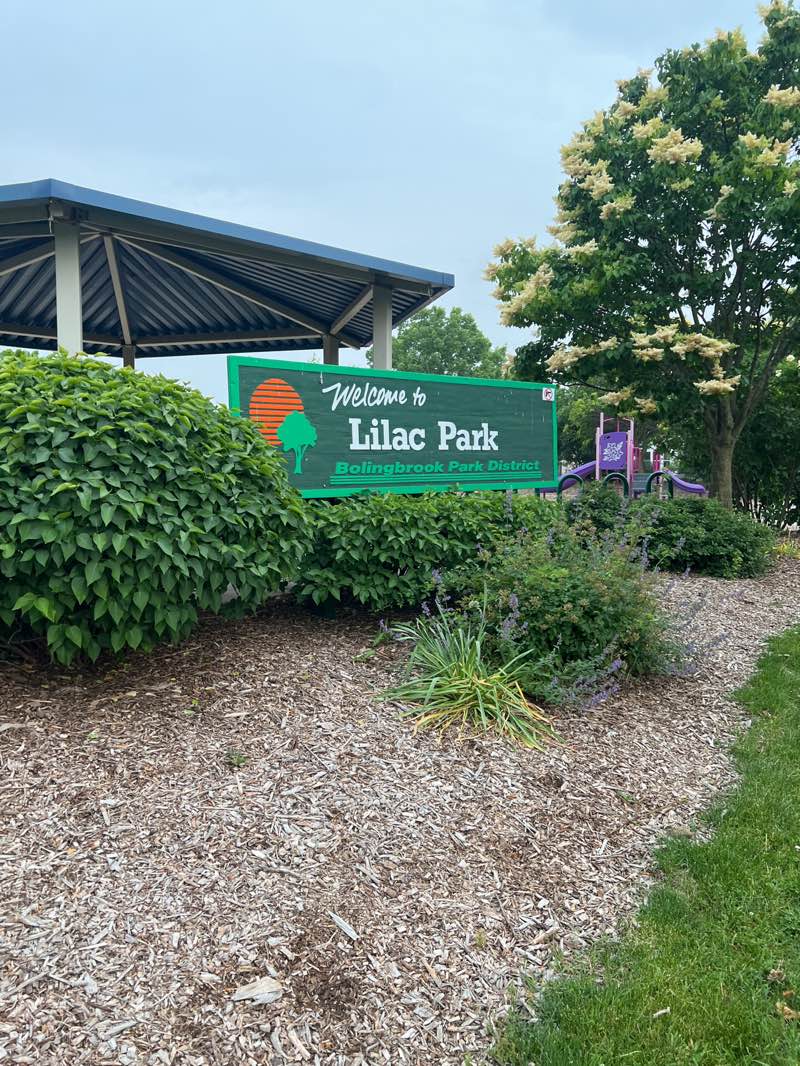 walking near me in Lilac Park in summer