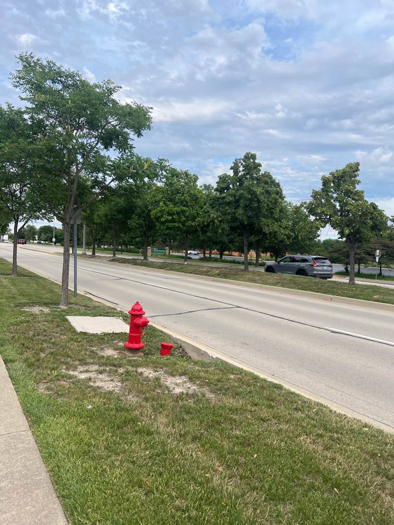 walking near me in Lily Cache Sports Fields in summer