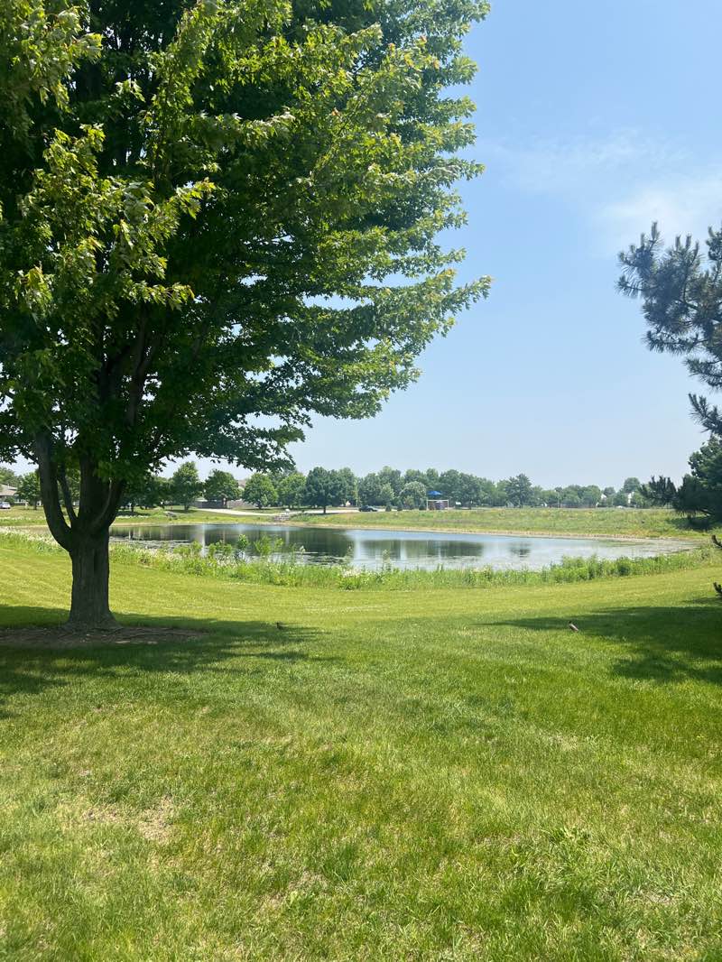 walking near me in Century Park in summer