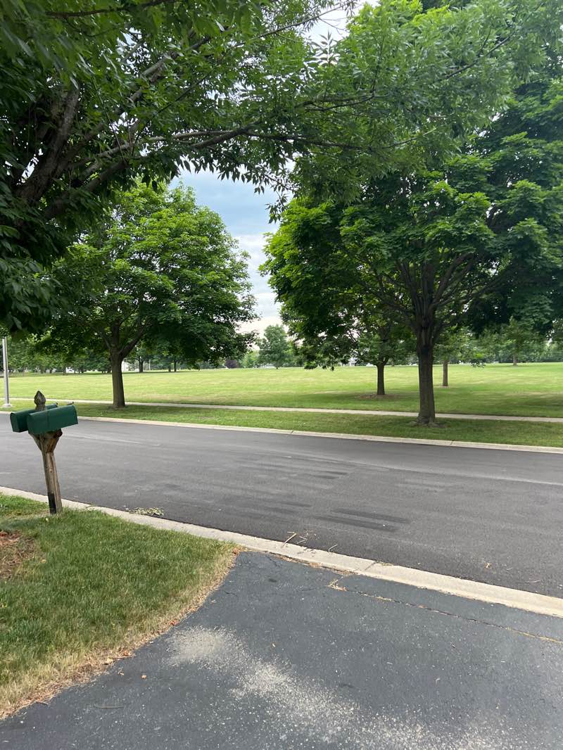 walking near me in Sunset Park in summer