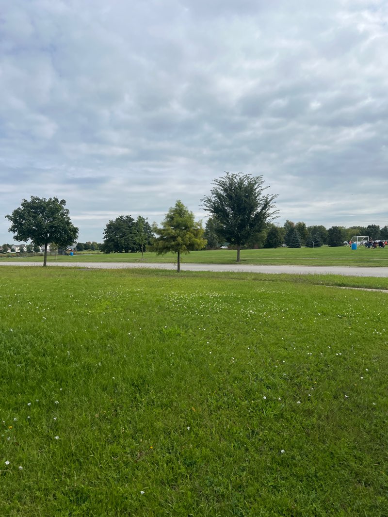 walking near me in Indian Chase Meadows Park in autumn