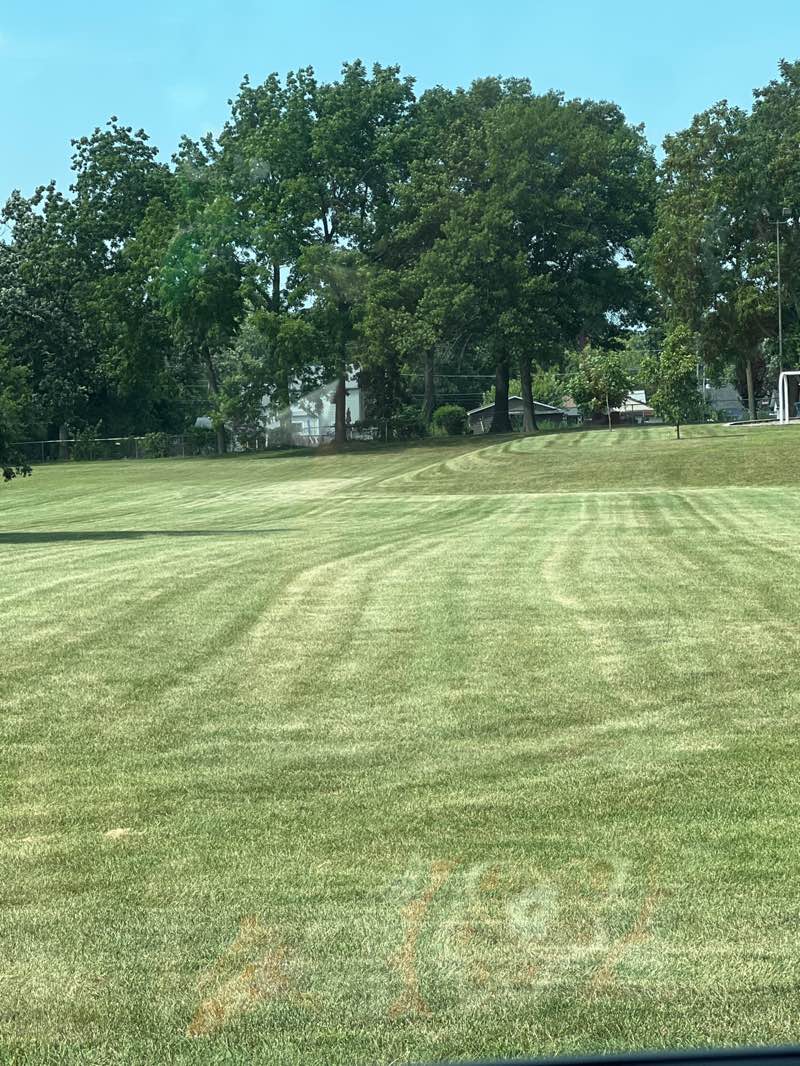 walking near me in Hickory Park in autumn