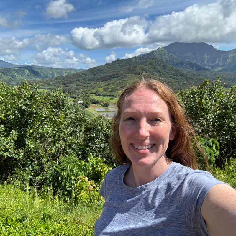 Summertime walking Katie post image