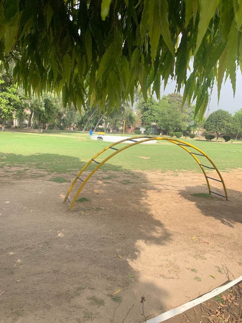 walking near me in Aysha Park in spring