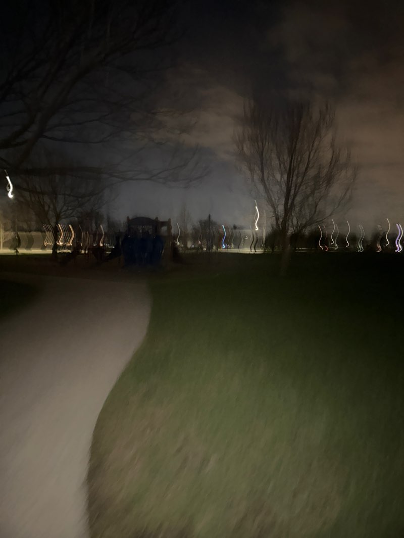walking near me in Central Park in spring