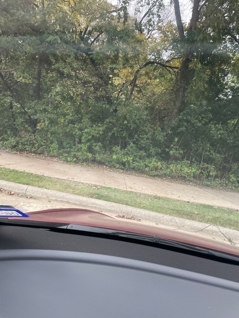 walking near me in Serenity Park in autumn